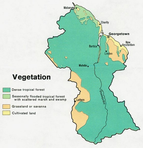 Guyana_Vegatation Map